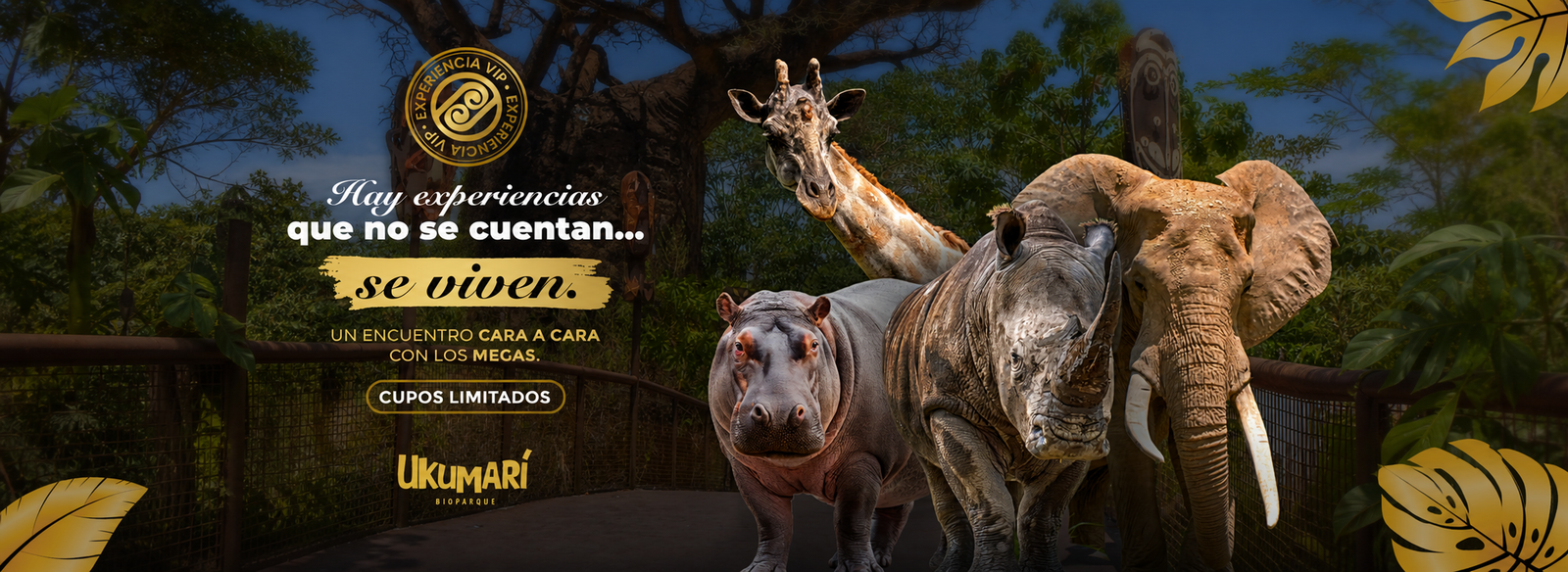 Experiencias VIP Ukumarí