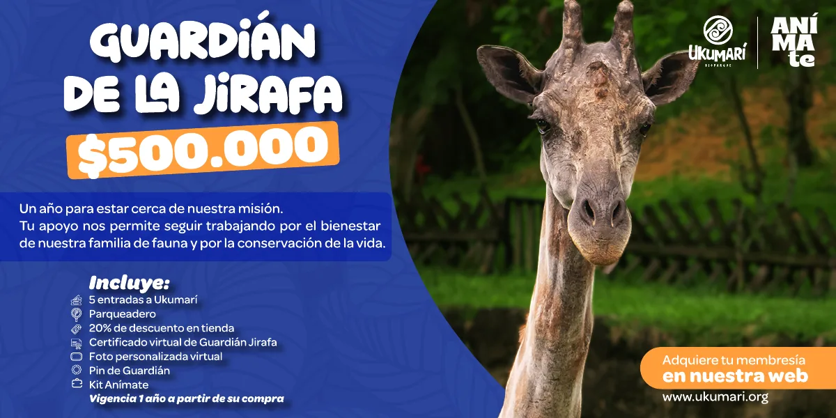 Guardián de la Jirafa