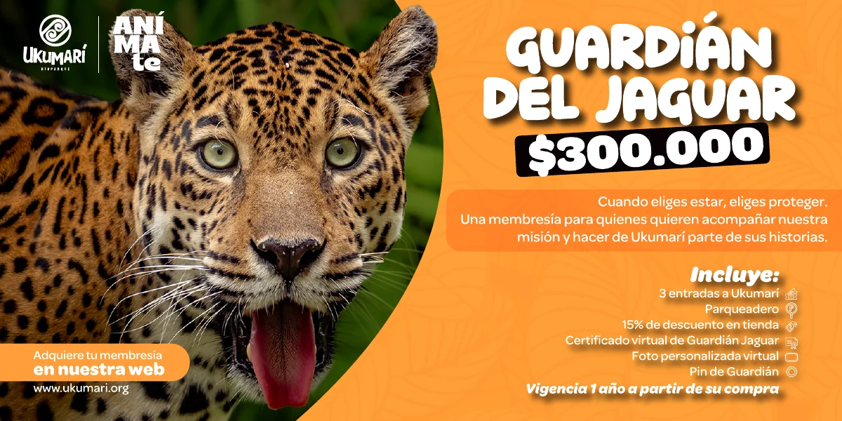 Guardián del Jaguar