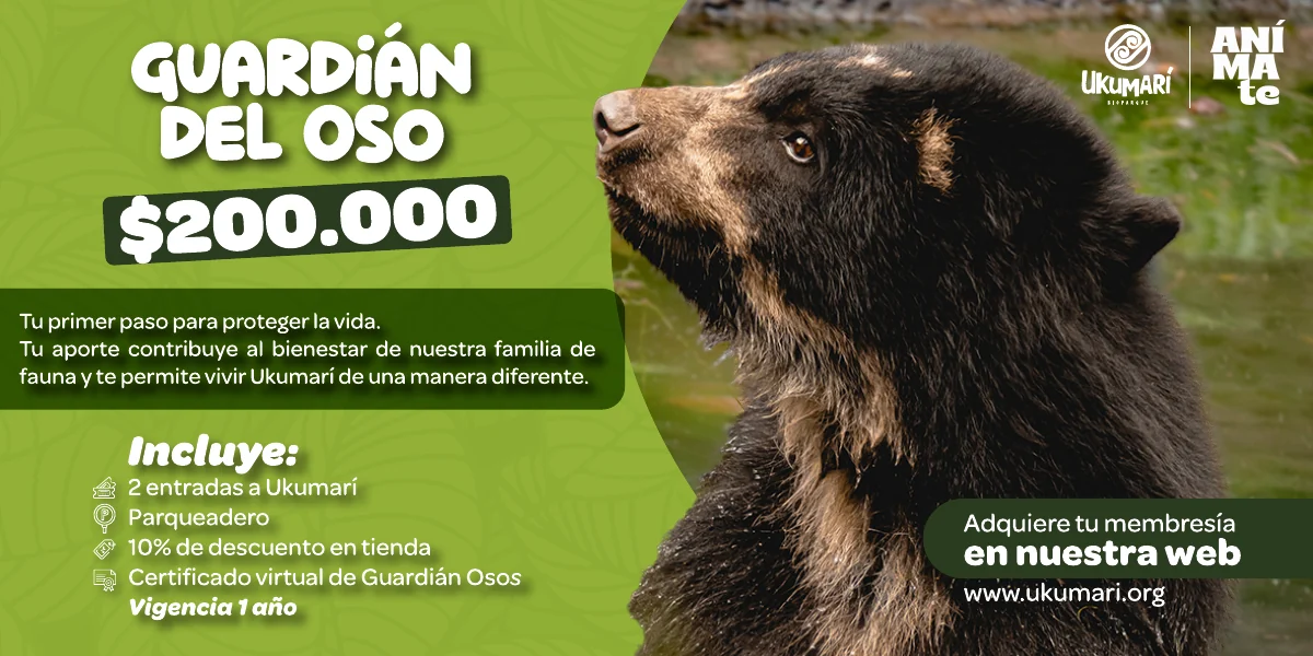 Guardián del Oso