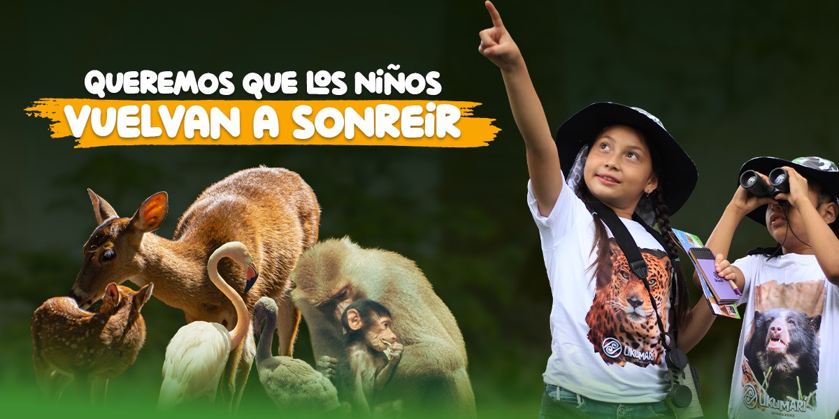 Volver a Sonreír